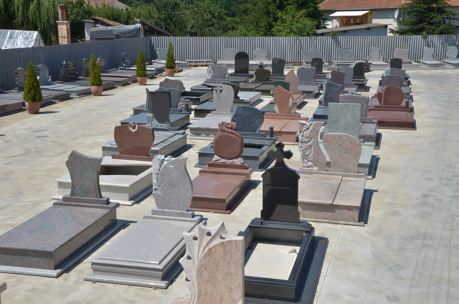 DSF 3842 resize